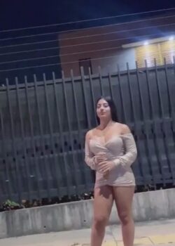 Desconocida en el parque termina follada en un auto. 21