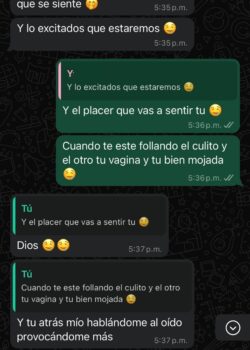 Convenciendo a mi novia para un trio- Capturas del chat 22